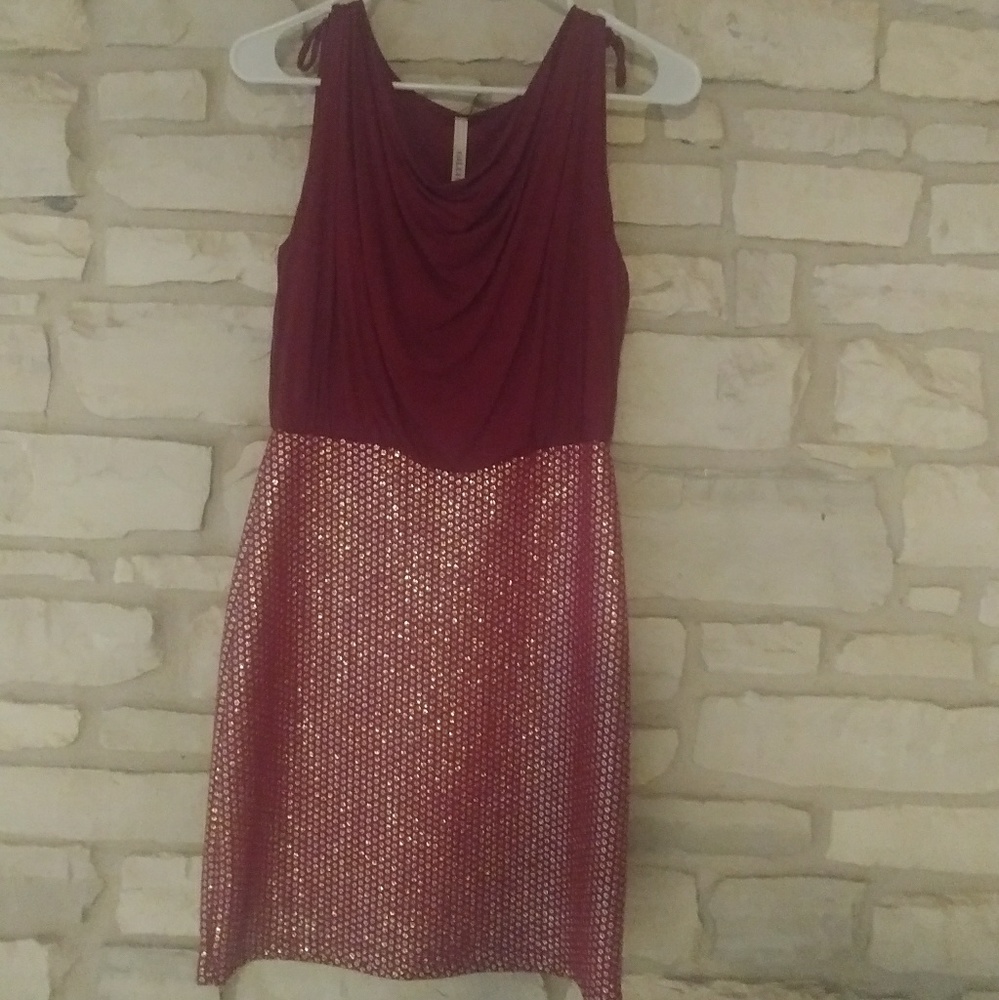 Burgundy Dress with Sequins - Picture 3 of 3